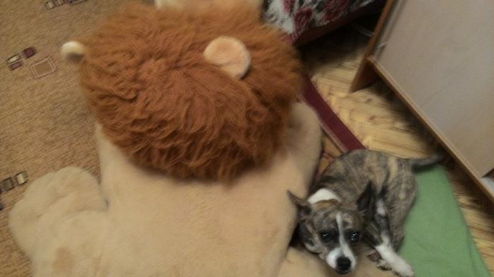 Image Hosted by PiXS.ru