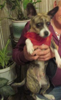 Image Hosted by PiXS.ru