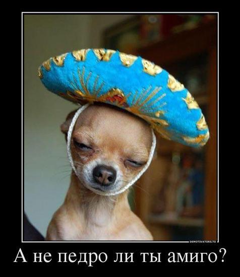 Image Hosted by PiXS.ru