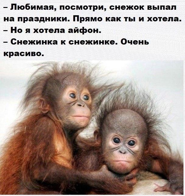 Image Hosted by PiXS.ru