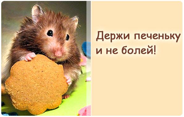 Картинки по запросу не болей