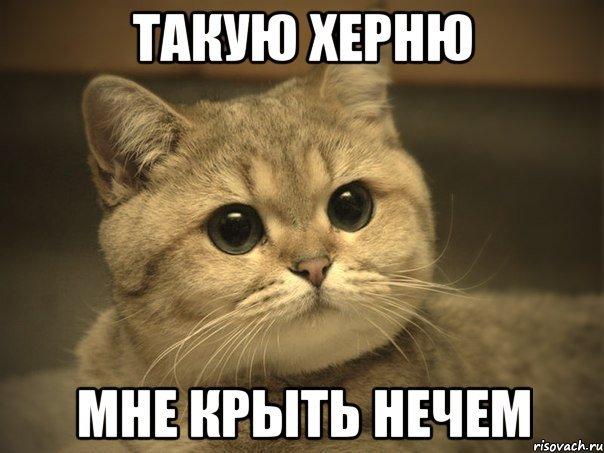 Image Hosted by PiXS.ru