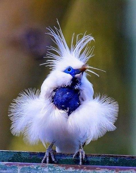 Image Hosted by PiXS.ru