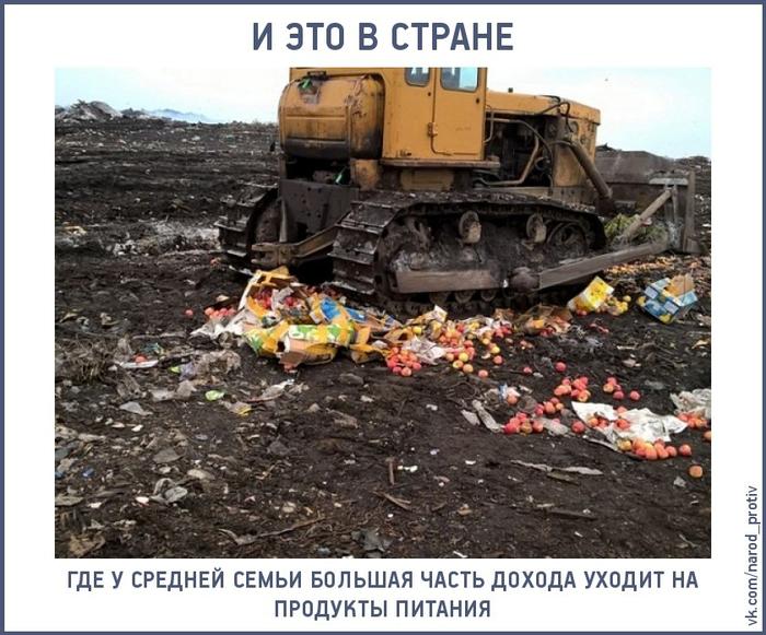 Изображение - savepic.net — сервис хранения изображений