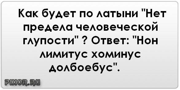 Профессор спасает глупую студентку от необратимой глупости