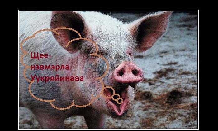 Хостинг для хранения изображений