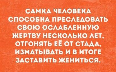 Image Hosted by PiXS.ru