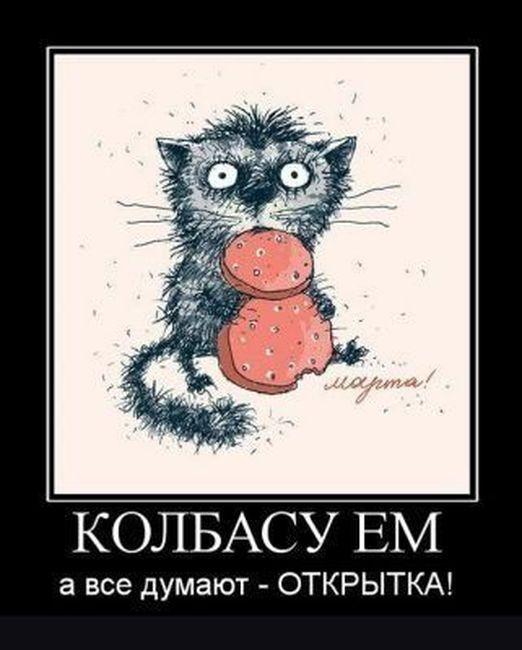Image Hosted by PiXS.ru
