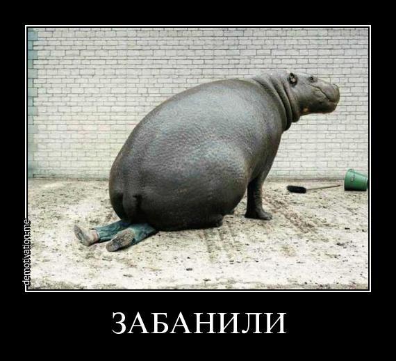 Картинки по запросу забанить прикол