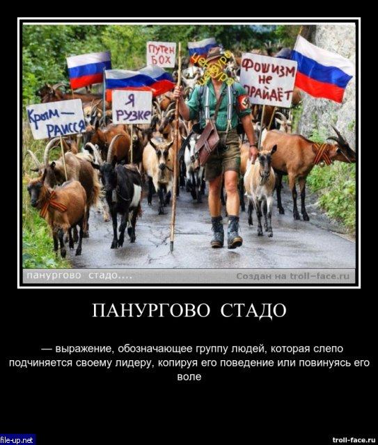 Загрузить фото бесплатно