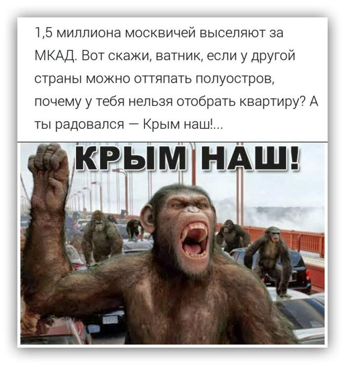 Изображение - savepic.net — сервис хранения изображений
