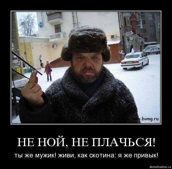 Изображение - savepic.net — сервис хранения изображений