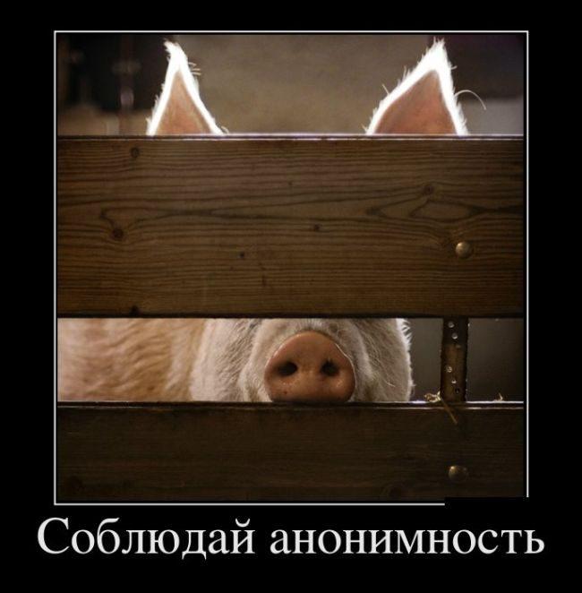 Подойдешь к нему убью. Подойдешь к нему убью