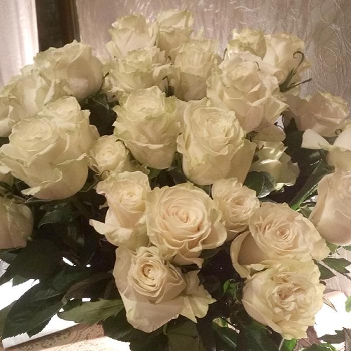 Хостинг картинок yapx.ru