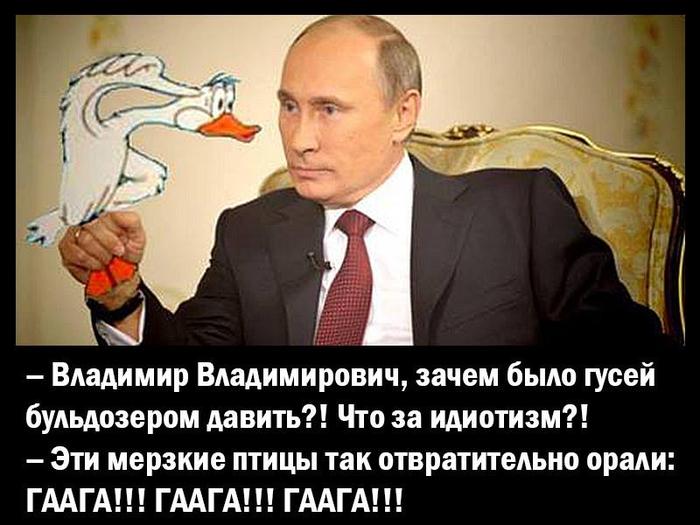 Путин сказочник картинки