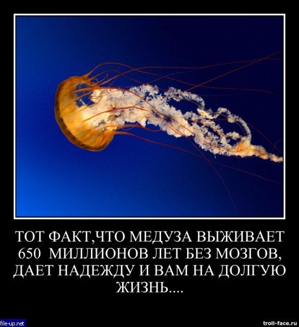 Загрузить фото бесплатно