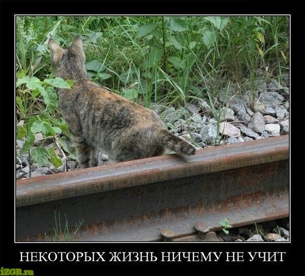 Image Hosted by PiXS.ru