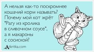Картинки по запросу звенят бубенчики прикол