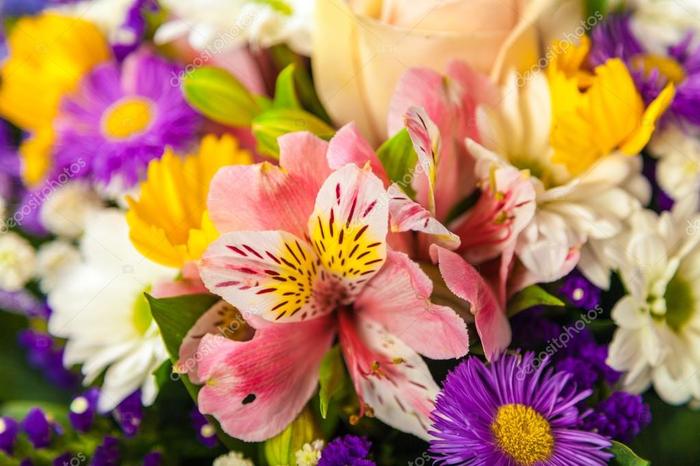 Картинки по запросу весенние цветы