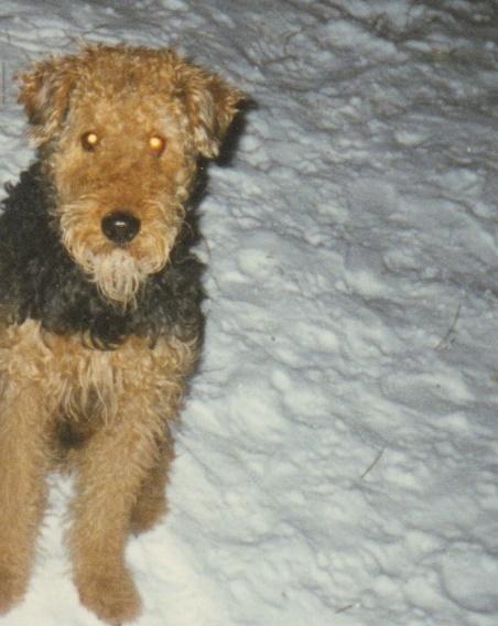 Image Hosted by PiXS.ru