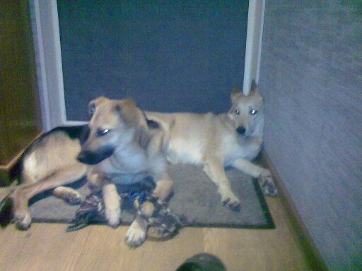 Image Hosted by PiXS.ru