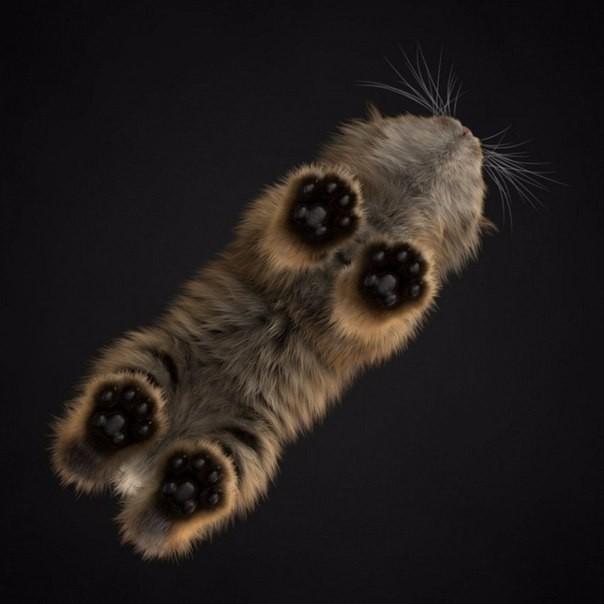 Image Hosted by PiXS.ru