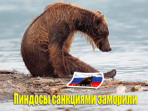 Изображение - savepic.ru — сервис хранения изображений