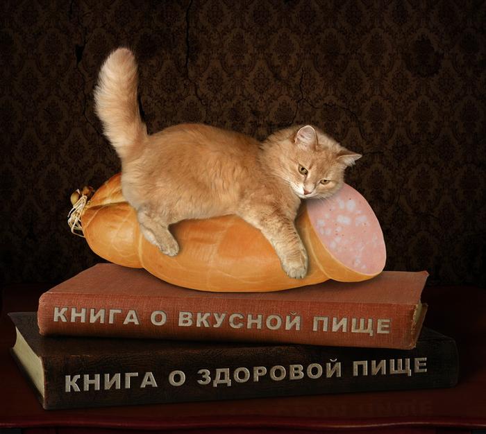 Картинки по запросу кошка на базаре крутит хвостом фото
