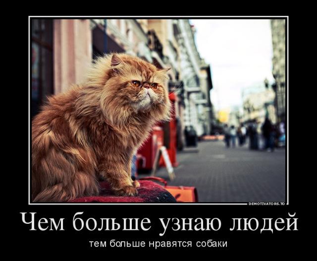 Похожее изображение