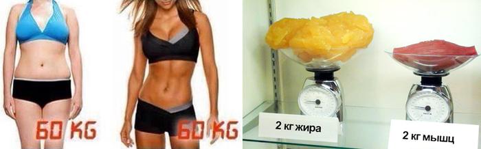 Картинки по запросу одинаковый вес при мышцах и жире