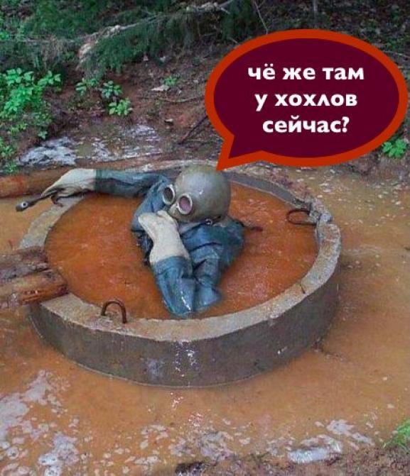 Изображение - savepic.net — сервис хранения изображений