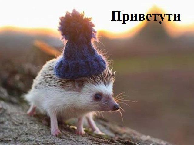 Картинки по запросу дратути