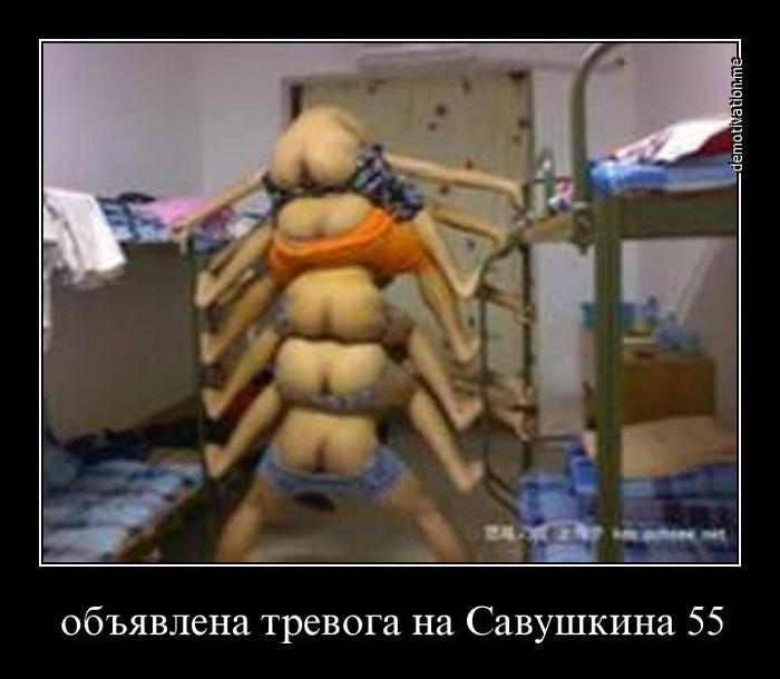 Картинки по запросу демотиватор савушкино