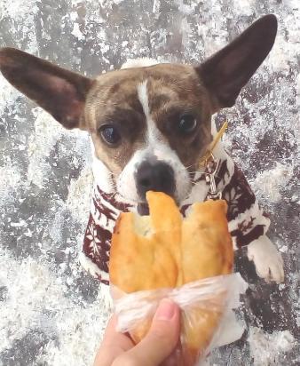 Image Hosted by PiXS.ru