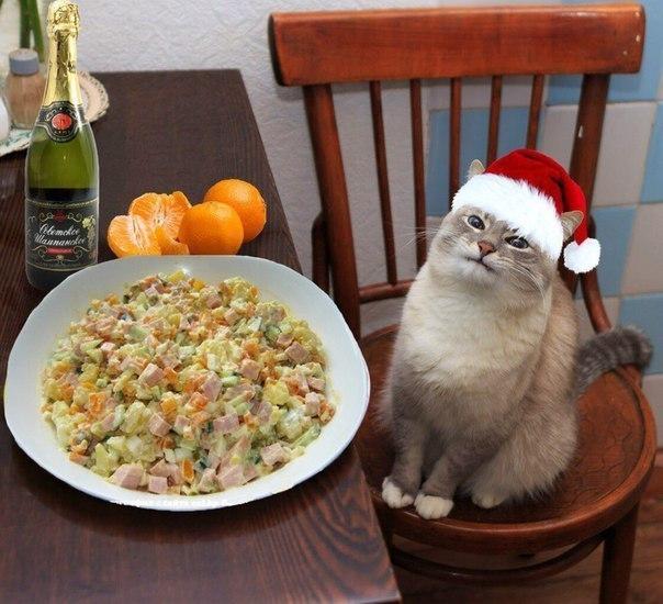 Image Hosted by PiXS.ru