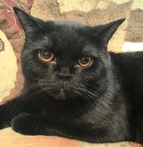 Image Hosted by PiXS.ru