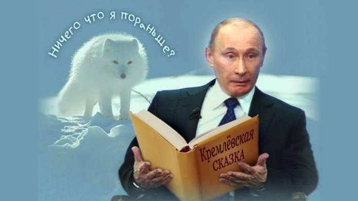 Картинки по запросу песец фотожаба