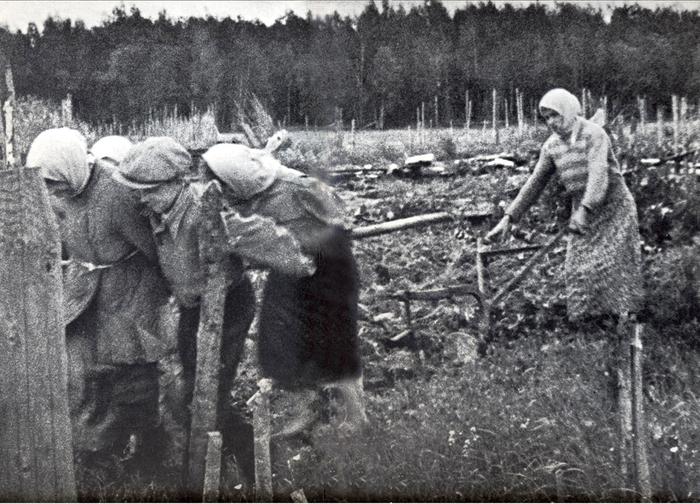 альтернативный текст