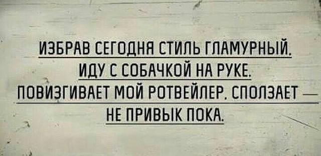 Image Hosted by PiXS.ru