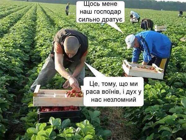 Image Hosted by PiXS.ru