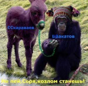 38023de32e17488f5914b9f9b9954b1d.jpg