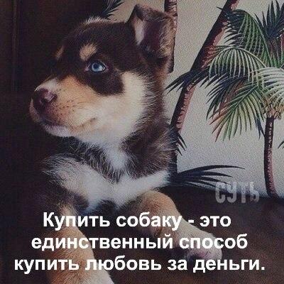 Image Hosted by PiXS.ru