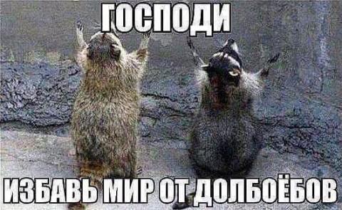 хостинг фото бесплатно