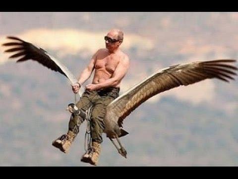 Картинки по запросу демотиватор Путин летит