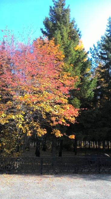 Image Hosted by PiXS.ru