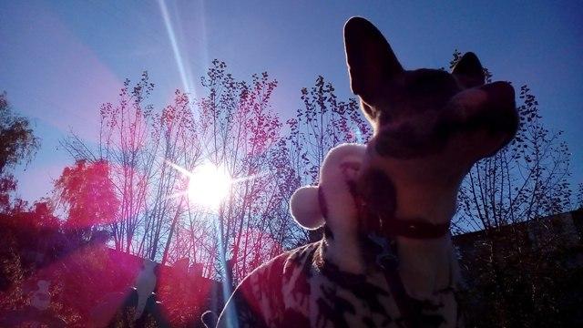 Image Hosted by PiXS.ru