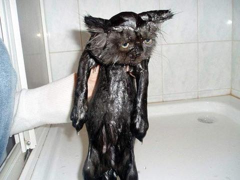 Image Hosted by PiXS.ru