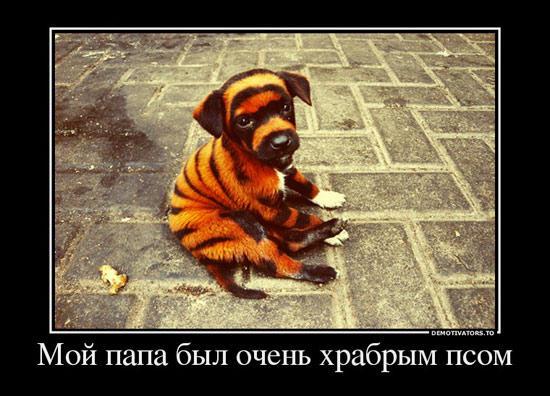 Image Hosted by PiXS.ru