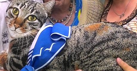 Image Hosted by PiXS.ru