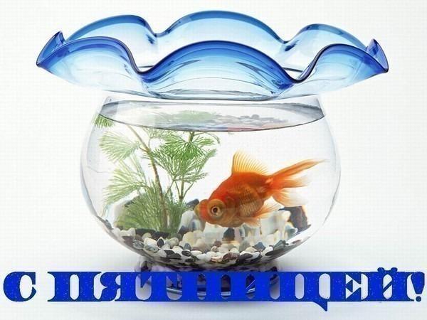 Image Hosted by PiXS.ru